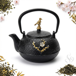 IMBRYK ZAPARZACZ ŻELIWNY Z SITKIEM DO ZIÓŁ HERBATY CZAJNICZEK 0.3 L ŻELIWO