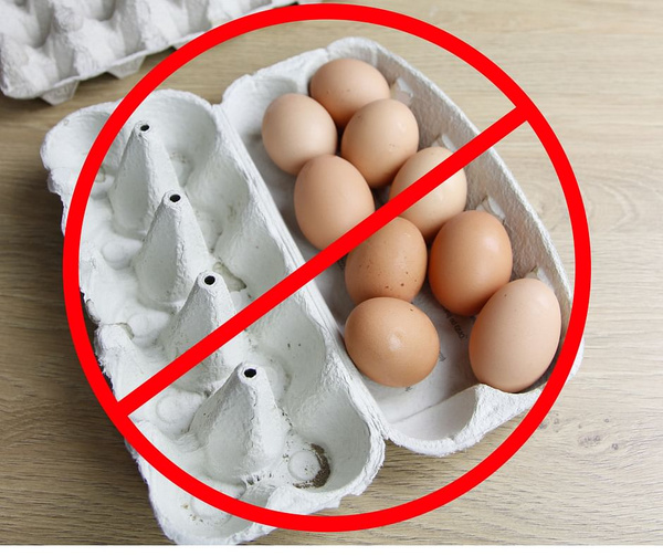 Ale Jaja.Plastikowy Pojemnik na Jaja.Mieści 12 szt