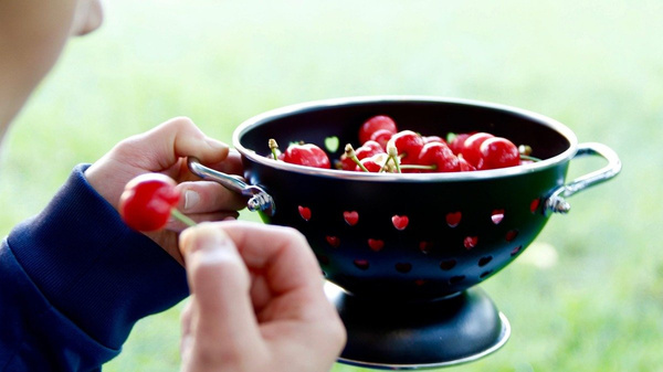 SITKO, CEDZAK, DURSZLAK 25 cm Stal nierdzewna