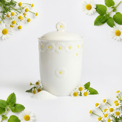 POJEMNIK ORGANIZER NA ŻYWNOŚĆ ARTYKUŁY SYPKIE CERAMICZNY 16CM DAISY LINE