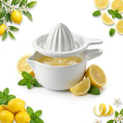 WYCIISKARKA PORCELANA  ELEGANCKI WYGLĄD Z MISĄ