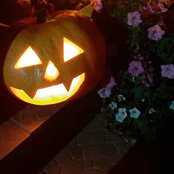 HOLLOWEEN LAMPKA DO DYNI ŚWIECZKA LED WKŁAD EFRKT ŻYWEGO OGNIA