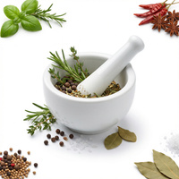 MOŹDZIERZ KUCHENNY PORCELANOWY Z TŁUCZKIEM