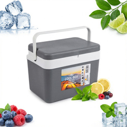 LODÓWKA TURYSTYCZNA CAMPINGOWA PRZENOŚNA MINI CHŁODZIARKA NA NAPOJE 6L