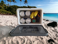 LODÓWKA TURYSTYCZNA CAMPINGOWA PRZENOŚNA MINI CHŁODZIARKA NA NAPOJE 6L