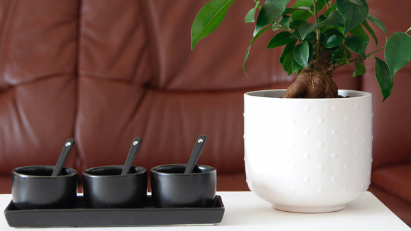 MISECZKI POJEMNIKI DO SOSU DIPÓW 3 szt ZESTAW