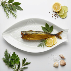 TALERZ PATERA PÓŁMISEK DO SERWOWANIA RYB PORCELANA