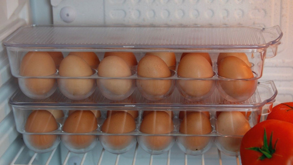 Ale Jaja.Plastikowy Pojemnik na Jaja.Mieści 12 szt