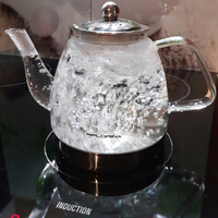 ZAPARZACZ CZAJNIK DZBANEK SZKLNAY INDUKCJA 1,2L DO KAWY HERBATY ZIÓŁ