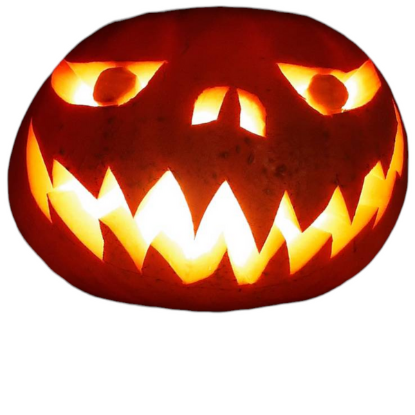 HOLLOWEEN LAMPKA DO DYNI ŚWIECZKA LED WKŁAD EFRKT ŻYWEGO OGNIA