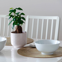 MISECZKA MISKA SALATERKA BIAŁA PÓŁMISEK 800 ml