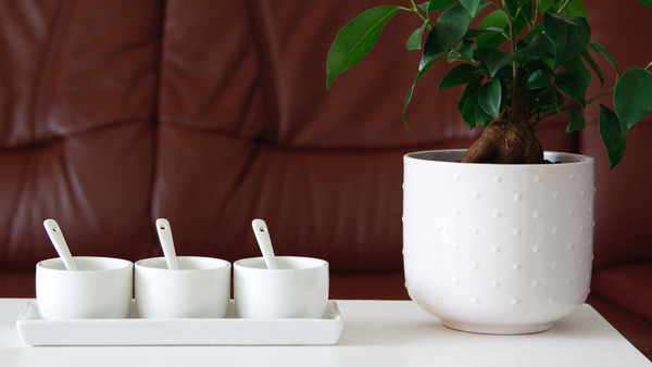 MISECZKI POJEMNIKI DO SOSU DIPÓW 3 szt ZESTAW