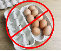 Ale Jaja.Plastikowy Pojemnik na Jaja.Mieści 12 szt